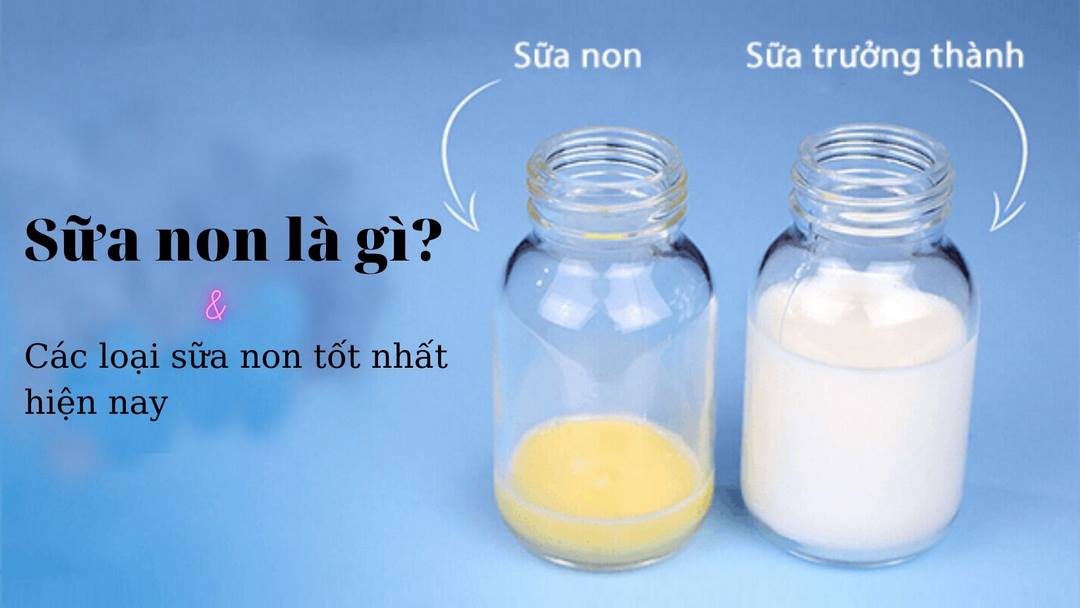 Sữa non là loại sữa giàu dinh dưỡng cho sự phát triển giai đoạn đầu