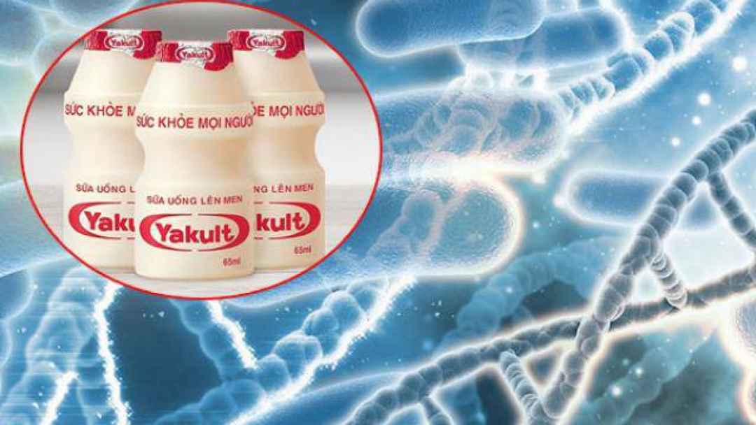 Nên bổ sung sữa chua uống Yakult đúng cách để phát huy tác dụng