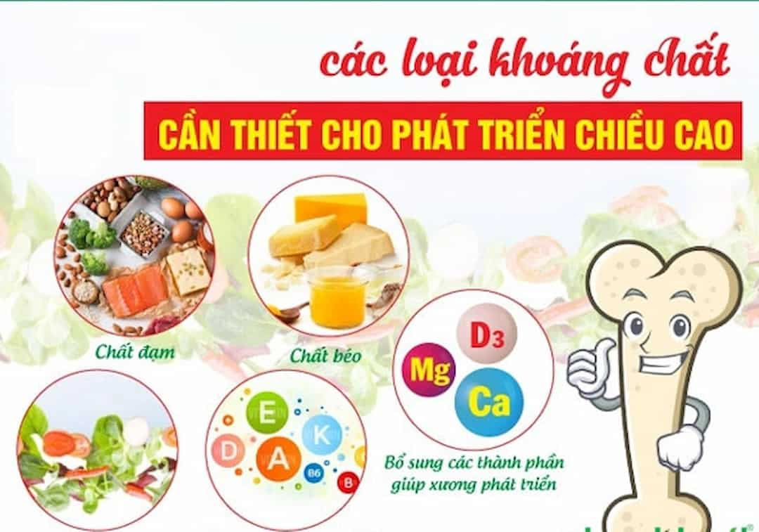 Cách lựa chọn sữa phát triển chiều cao cho trẻ