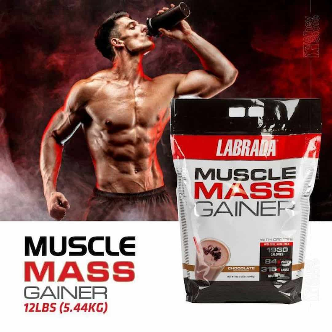 Sữa Mass Muscle Gainer