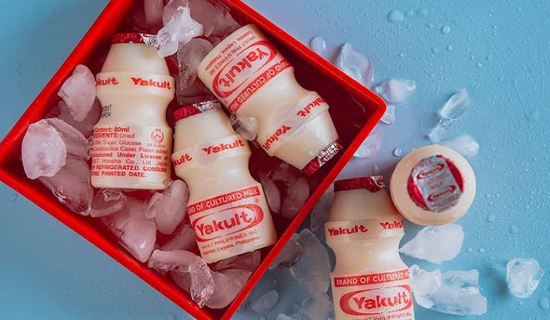 Cách làm trà sữa Yakult với các loại topping khác nhau