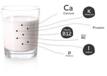Sữa bò có hàm lượng dinh dưỡng cao rất tốt cho sức khỏe