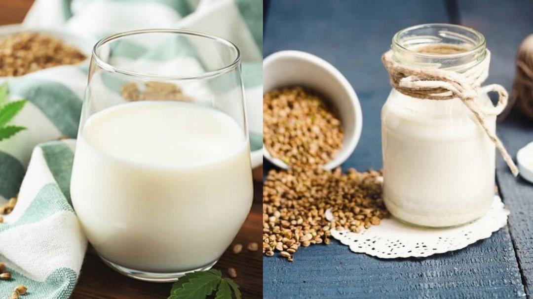 Dinh Dưỡng Của Sữa Bò Bao Gồm Những Thành Phần Nào 