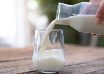 Sữa dê có tốt không? Tìm hiểu về ích lợi của sữa dê