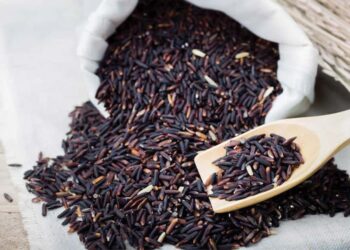 Gạo nếp cẩm có nhiều công dụng tốt cho sức khỏe