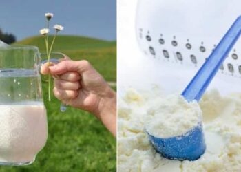 Nên chọn sữa tươi hay sữa công thức