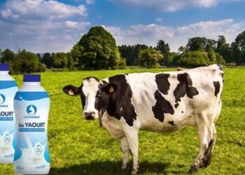 Sữa chua uống cho bé 1 tuổi