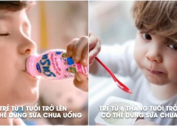 Sự khác nhau giữa sữa chua ăn và sữa chua uống