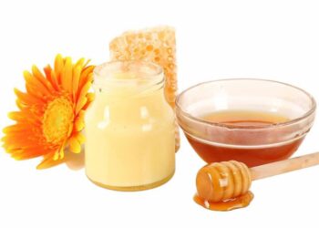 Ai nên uống sữa ong chúa