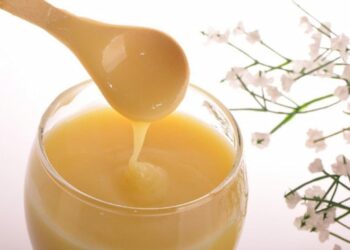 sữa ong chúa có tác dụng gì