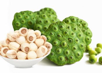 Cách làm sữa hạt sen đậu xanh thơm ngon, bổ dưỡng